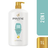 Pantene Shampoo con Acondicionador 2en1 Cuidado Clásico 1L
